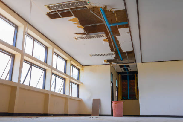 Best 24-hour water damage restoration  in Rockville, MD
