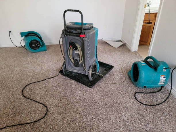 Carpet water damage restoration in Rockville, MD