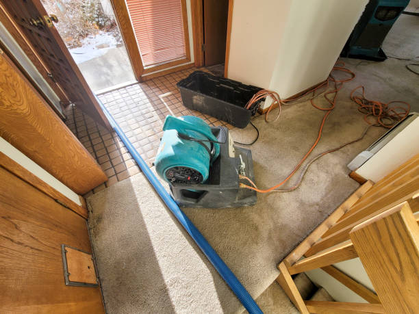 Best Water damage restoration near me  in Rockville, MD