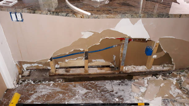 Best Water damage cleanup near me  in Rockville, MD