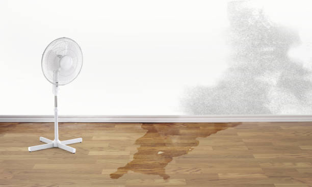 Best Fire Damage Restoration  in Rockville, MD