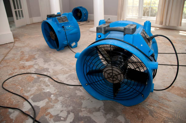 Best Residential water damage restoration  in Rockville, MD