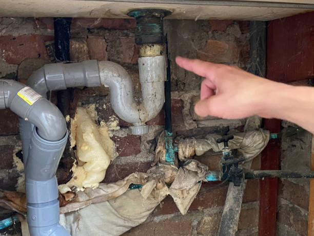 Best Flooded house restoration  in Rockville, MD