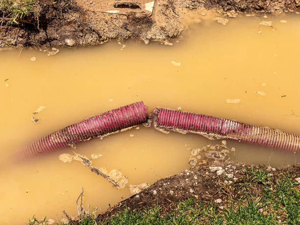 Best Local water damage restoration  in Rockville, MD