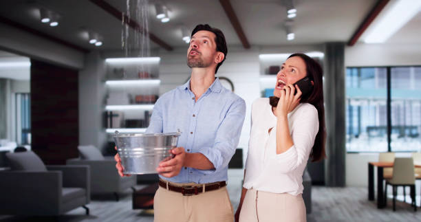 Best Water damage contractors near me  in Rockville, MD