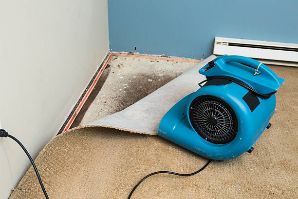 Best Water damage restoration near me  in Rockville, MD